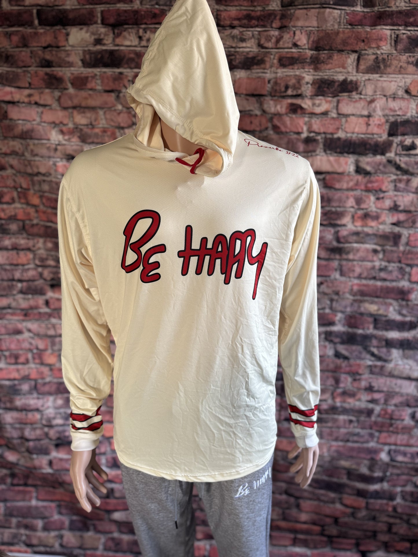 Long sleeve light weight hoodie